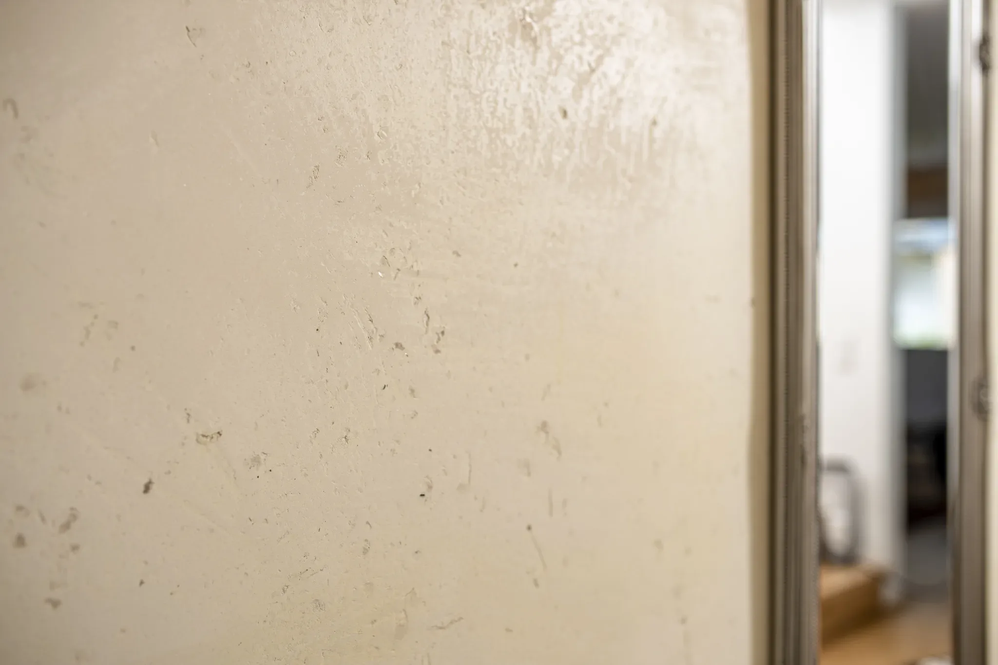 Welche Wandbeläge gibt es?