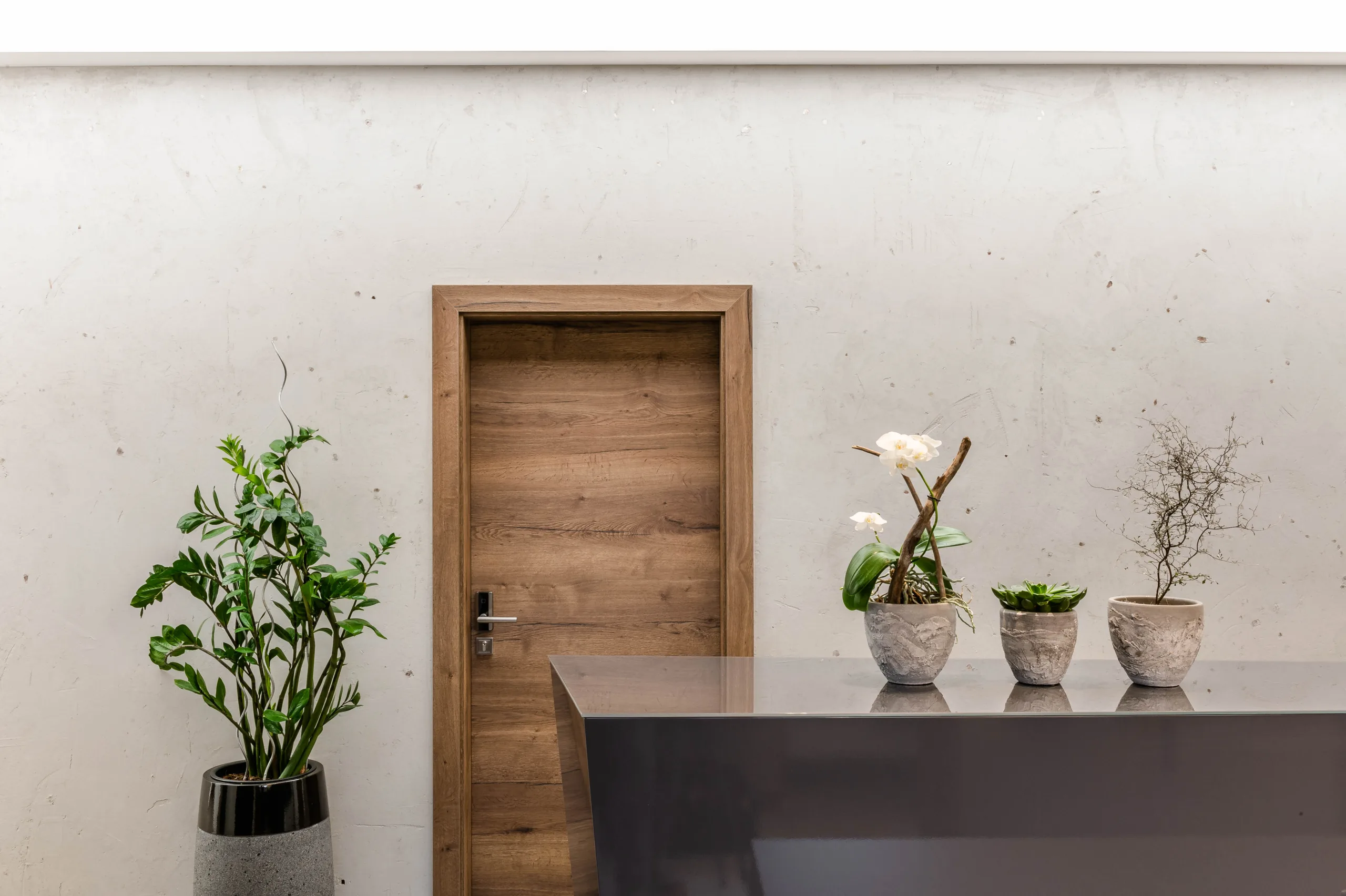 Gibt es Alternativen zum Innenputz?