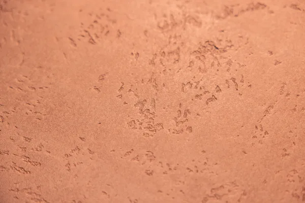 IBOD_S37_Magic Copper Nr. 11 (3)